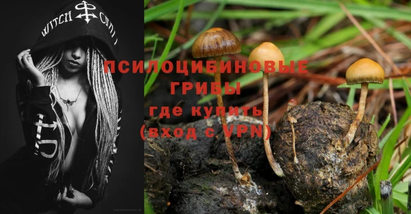 COCAINE Каменск-Шахтинский