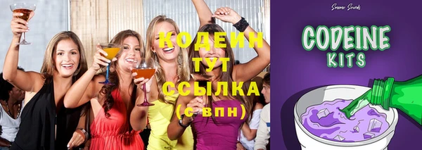 spice Каменка