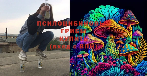 spice Каменка