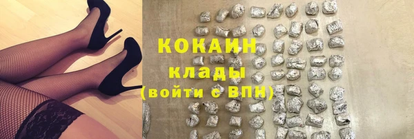 spice Каменка